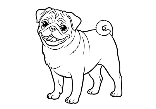 Dogs Coloring Book